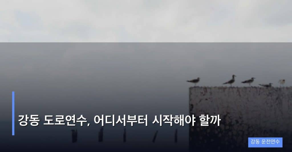 강동 도로연수, 어디서부터 시작해야 할까
