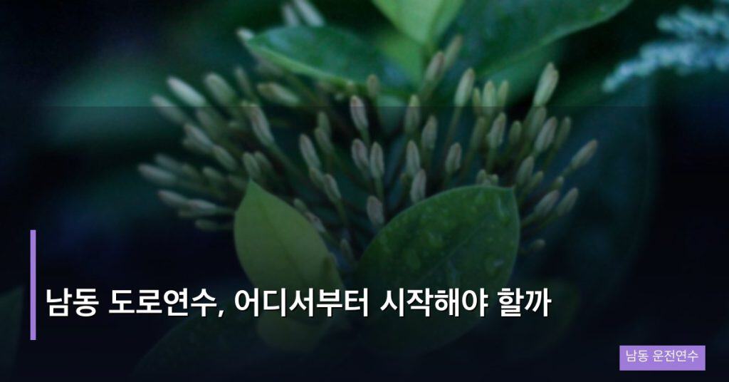 남동 도로연수, 어디서부터 시작해야 할까